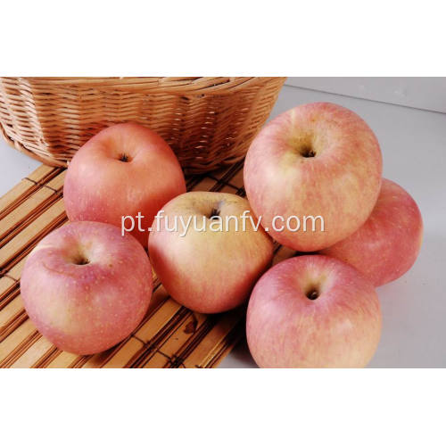 Nova colheita fresca barato Fuji maçã (64-198)